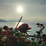 Un Mare Di Fiori Ventimiglia
