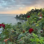 Un Mare Di Fiori