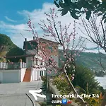 Un Mare Di Fiori