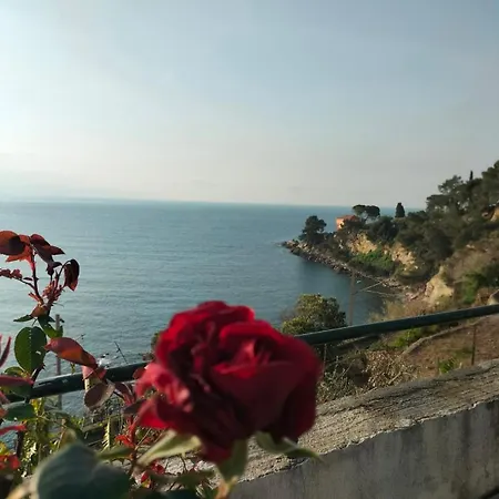 Un Mare Di Fiori
