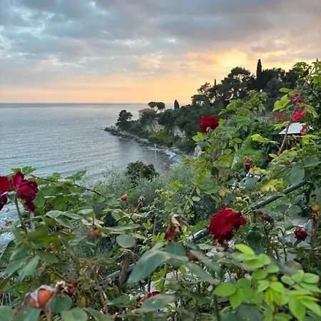 Un Mare Di Fiori