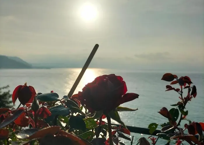 Un Mare Di Fiori Ventimiglia