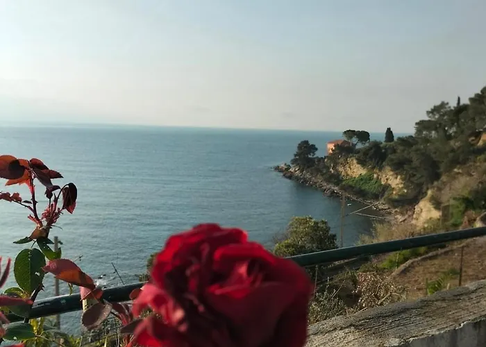 Un Mare Di Fiori