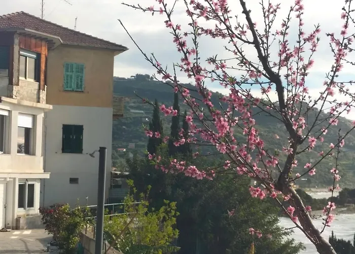 Un Mare Di Fiori Lejlighed