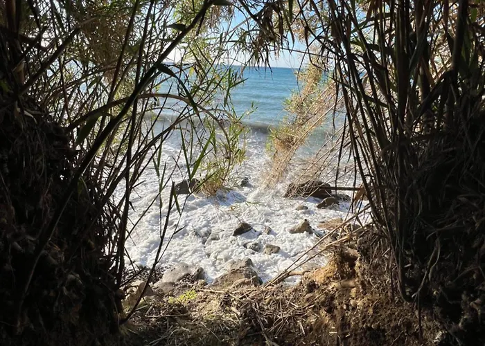 Un Mare Di Fiori * Ventimiglia