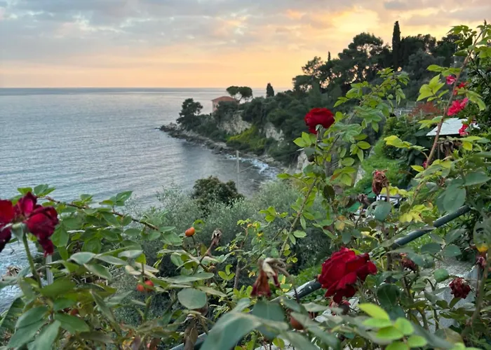 Un Mare Di Fiori
