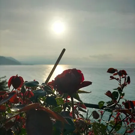 Un Mare Di Fiori Βεντιμίλια