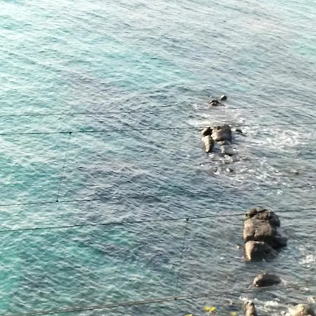 Un Mare Di Fiori * Ventimiglia