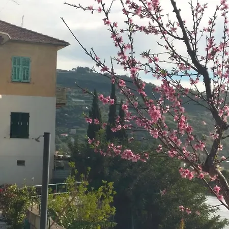 Un Mare Di Fiori Lägenhet