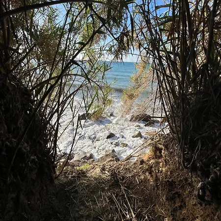 Un Mare Di Fiori * Ventimiglia