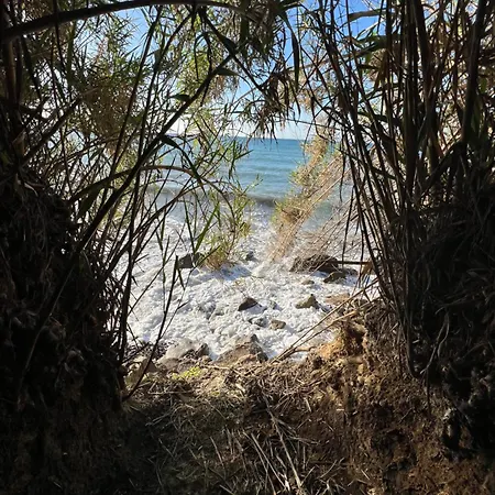 Un Mare Di Fiori * Ventimiglia