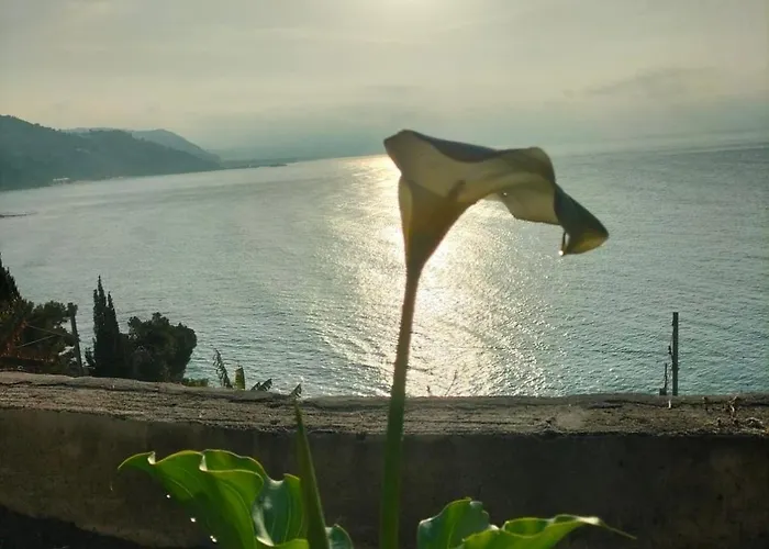 Un Mare Di Fiori *