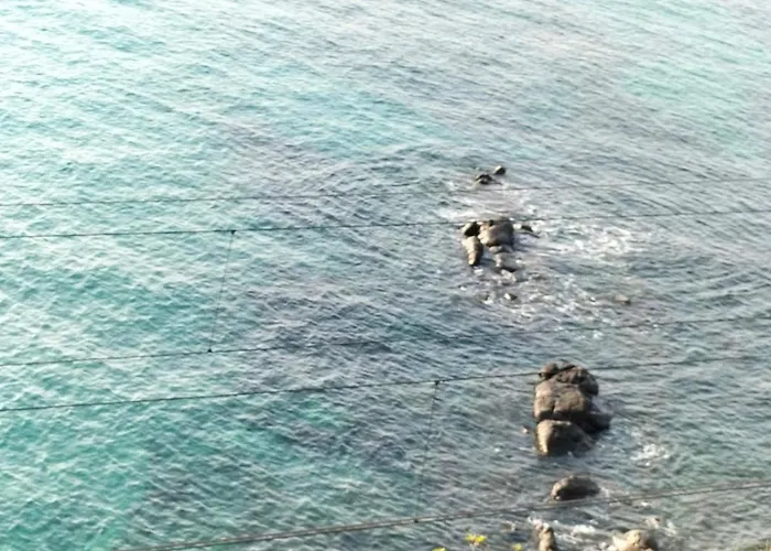 Un Mare Di Fiori * فنتيميليا