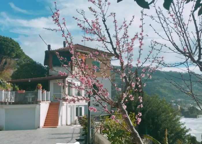 Un Mare Di Fiori